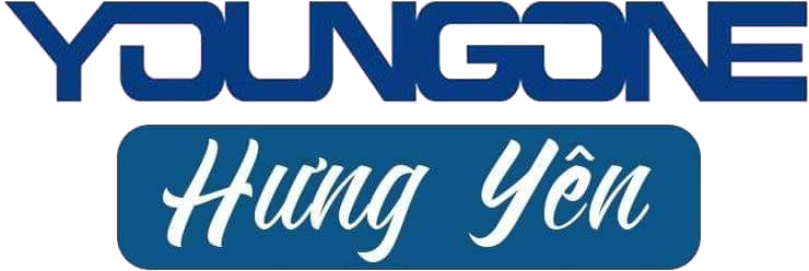 lĩnh vực hoạt động